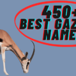 450+ Best Gazelle Names