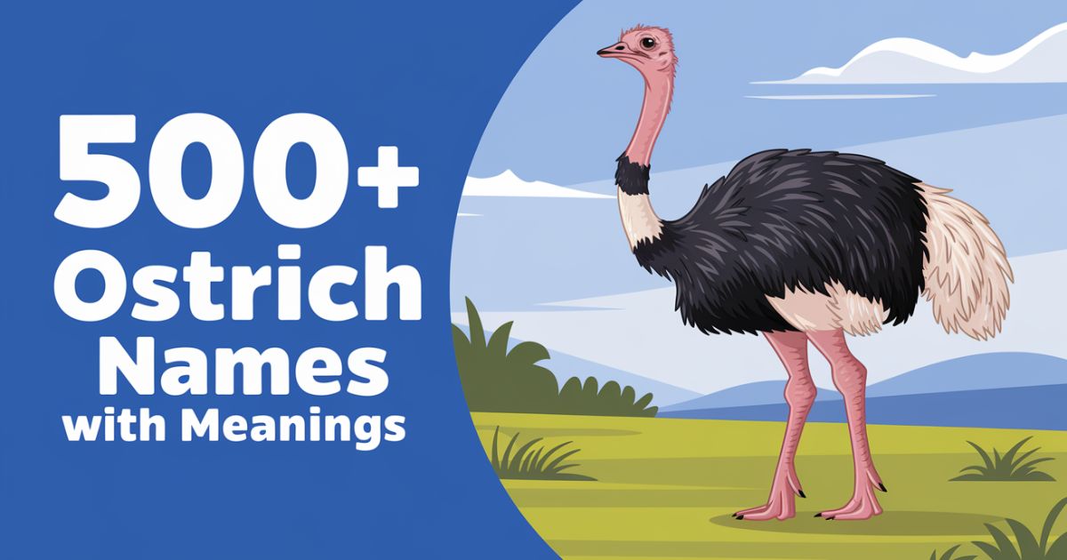 500+ Funny & Unique Ostrich Names (+Generator)