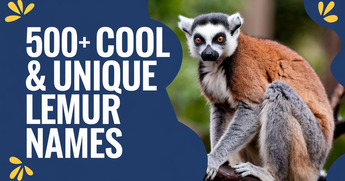 500+ Unique Lemur Names [Meaningful Ideas] + AI Generator