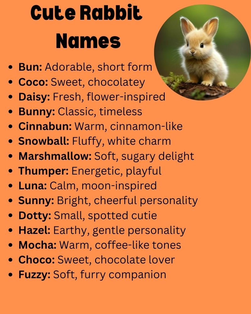 Cute Rabbit Names