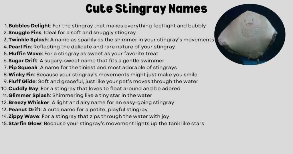 Cute Stingray Names