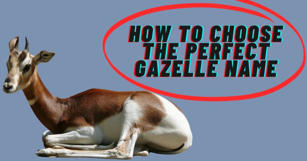 How to Choose the Perfect Gazelle Name