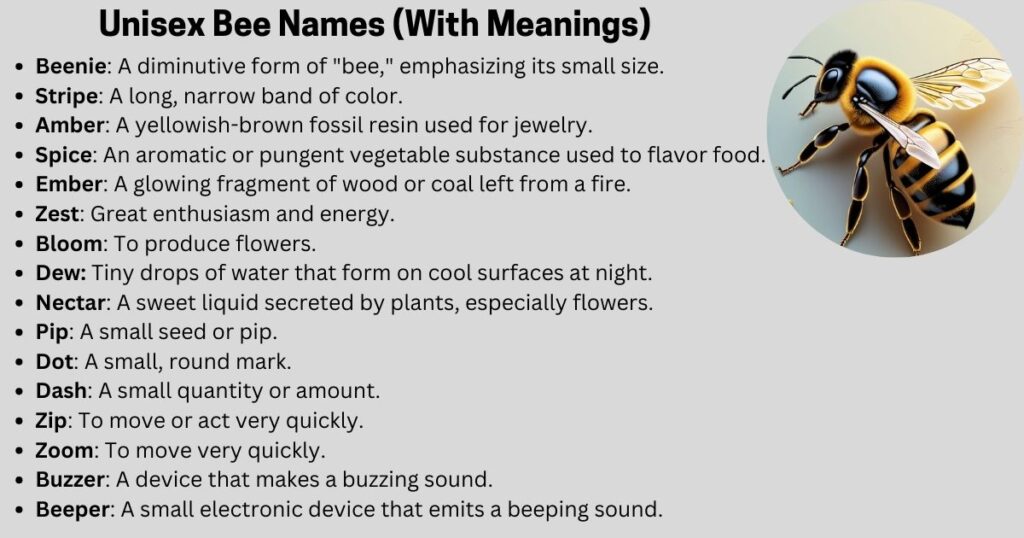 Unisex Bee Names (With Meanings)