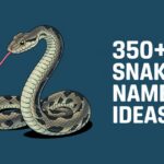 350+ Best Snake Names Ideas + Try Our AI Generator