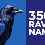 350+ Cute & Funny Raven Names + AI Generator