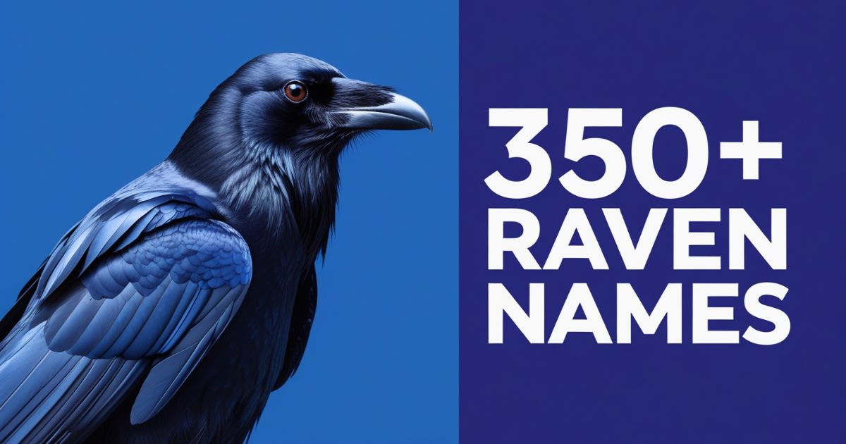 350+ Cute & Funny Raven Names + AI Generator