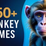 350+ Monkey Names: Funny, Cute, and Unique Ideas