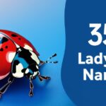 350+ Unique & Cute Ladybug Names: Meaningful Ideas