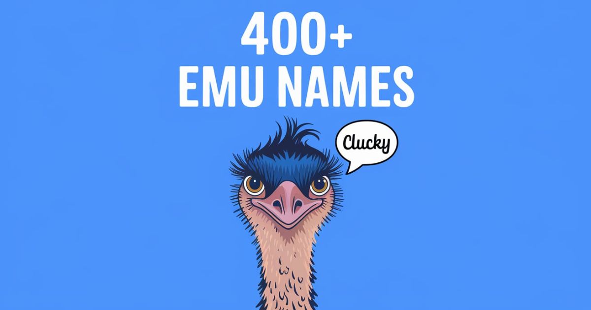 400+ Emu Names Cool & Cute [Meaningful Ideas]