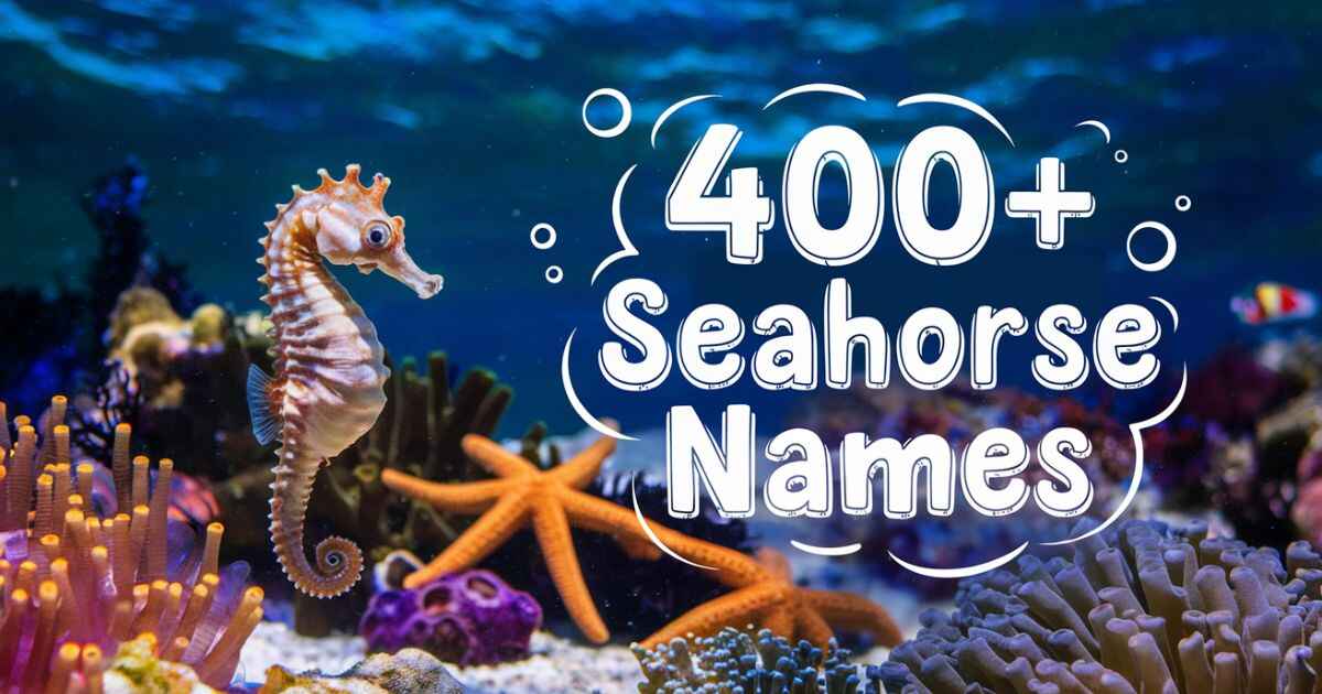 400+ Unique Seahorse Names with Meaning