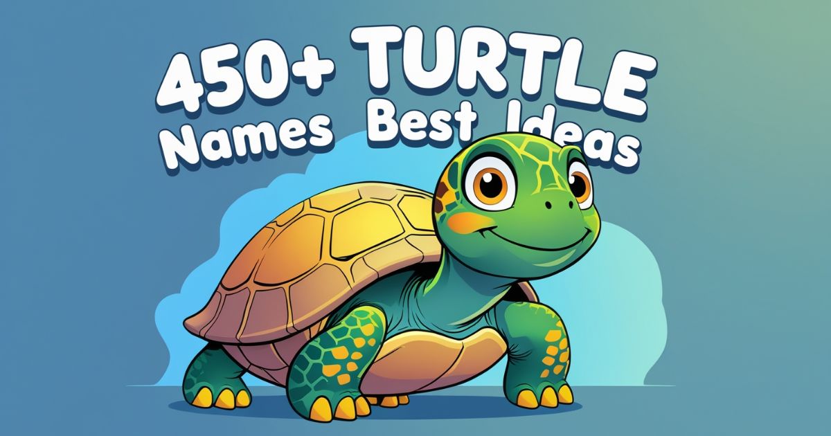 450+ Unique Turtle Names | Best Ideas + AI Generator