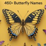 460+ Butterfly Names: Cute and Cool Ideas