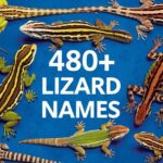 480+ Creative Lizard Names + AI Generator