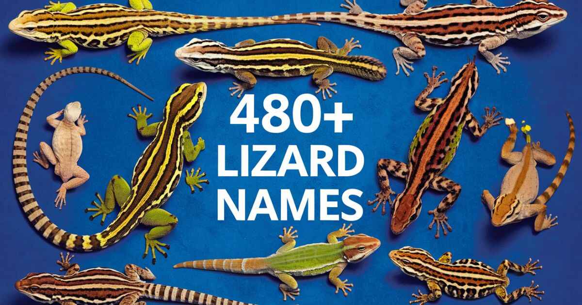 480+ Creative Lizard Names + AI Generator