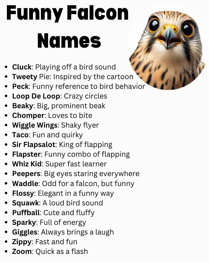 Funny Falcon Names