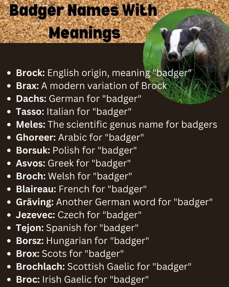 Badger Names With  Meanings