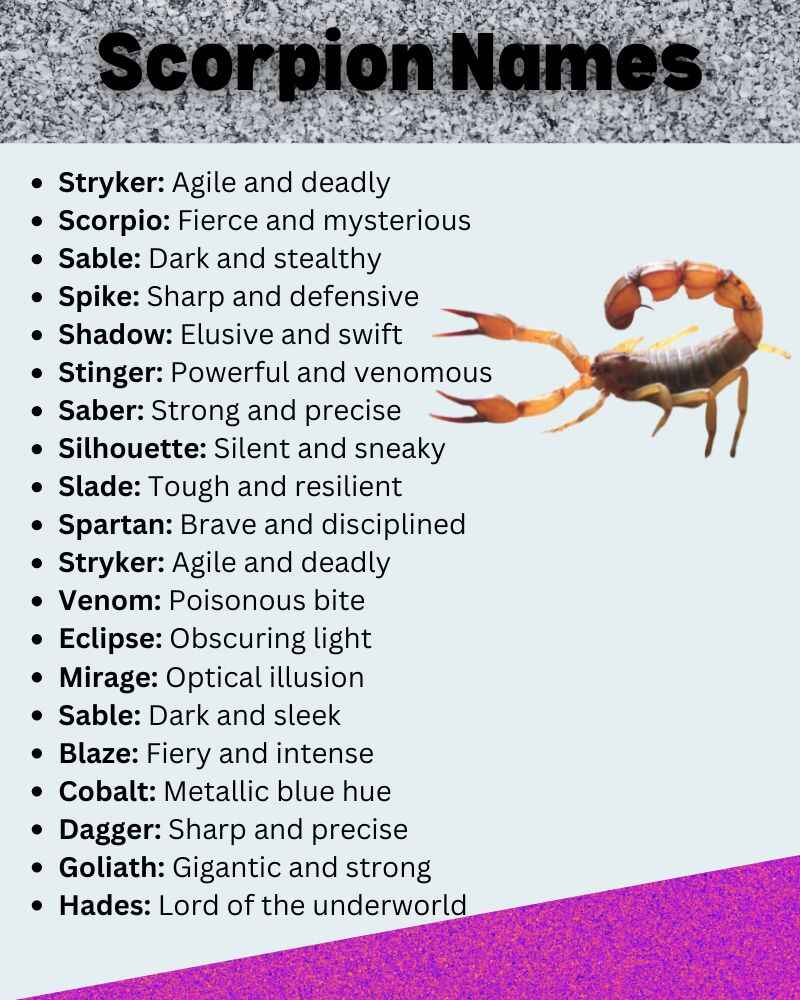 Best Scorpion Names with Meaning