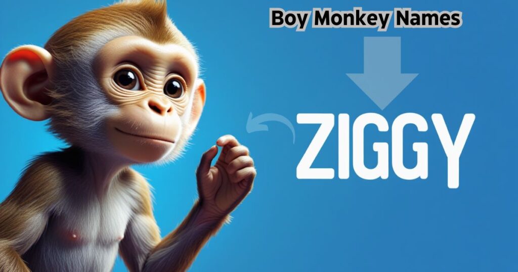 Boy Monkey Names