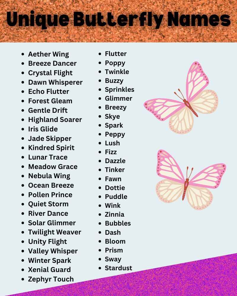 Butterfly Names