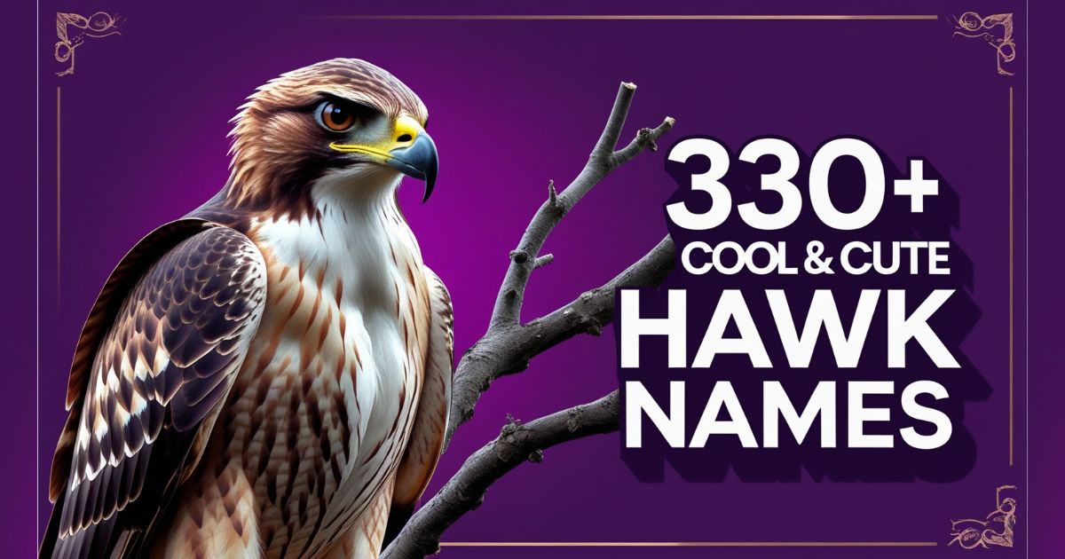 Cool & Cute Hawk Names