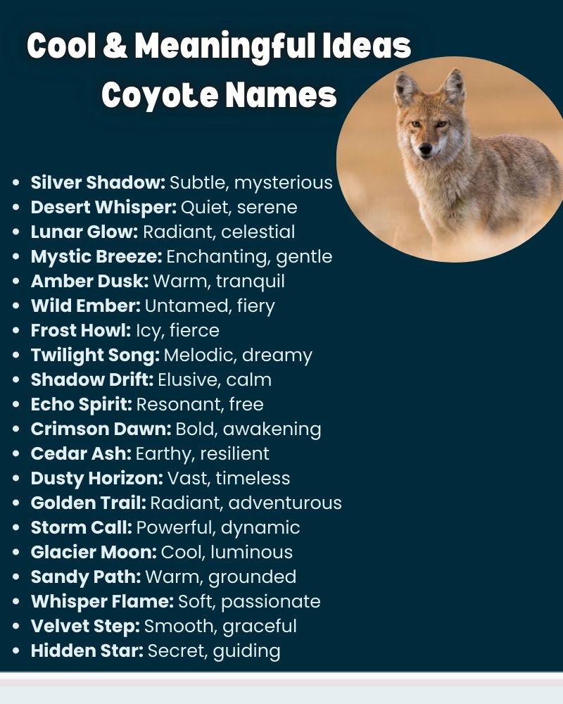 Cool & Meaningful Ideas Coyote Names