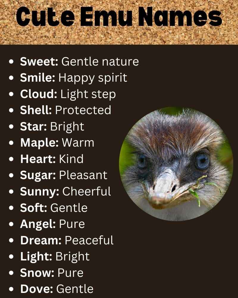 Cute Emu Names