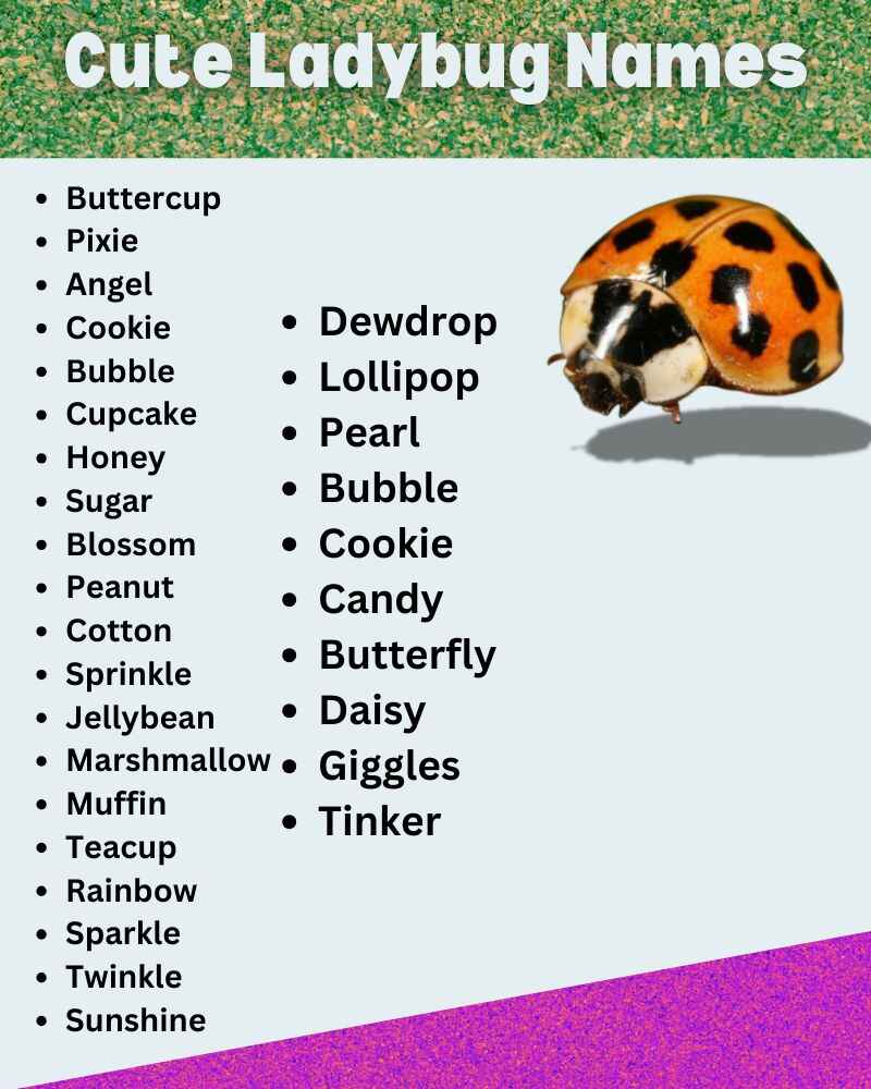 Cute Ladybug Names with Meaning