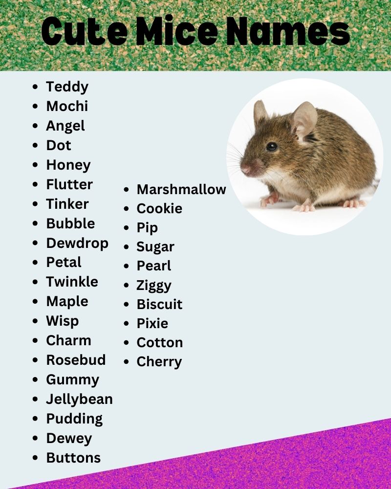 Cute Mice Names