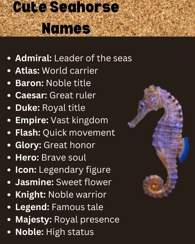 Cute Seahorse Names