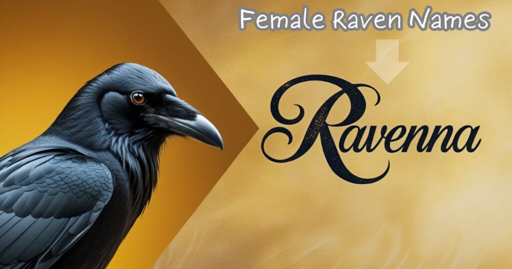 Female Raven Names