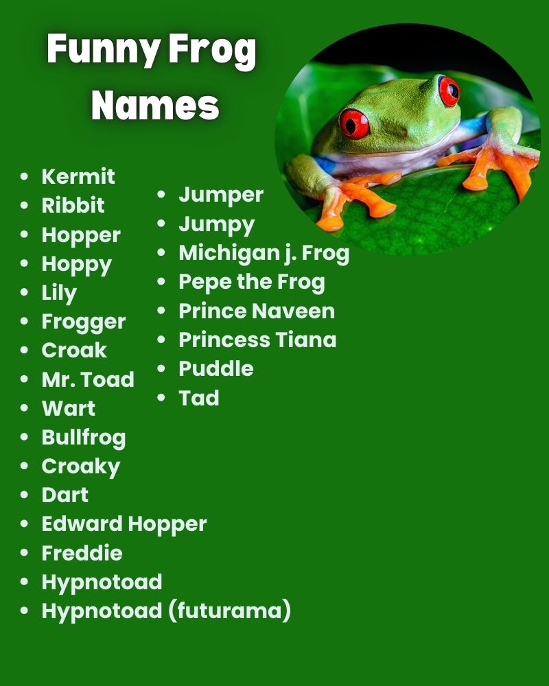 Funny Frog Names