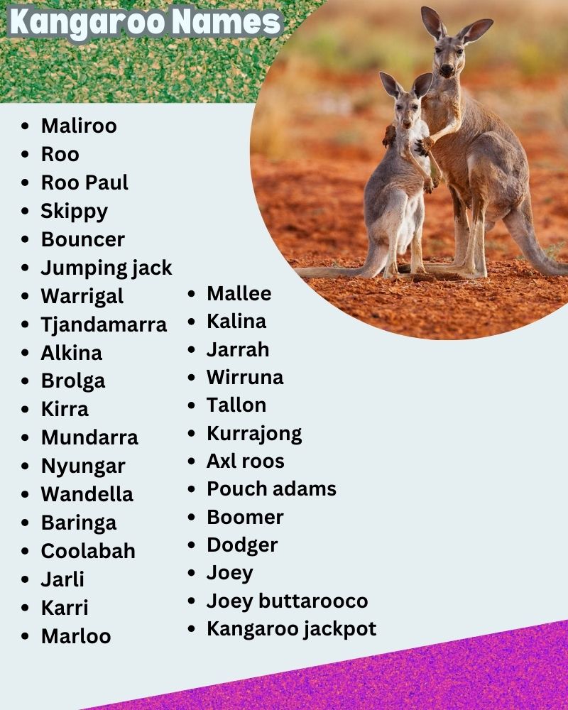 Kangaroo Names