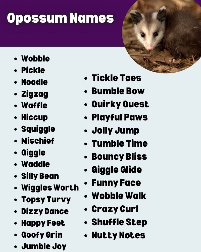 Possum Names 