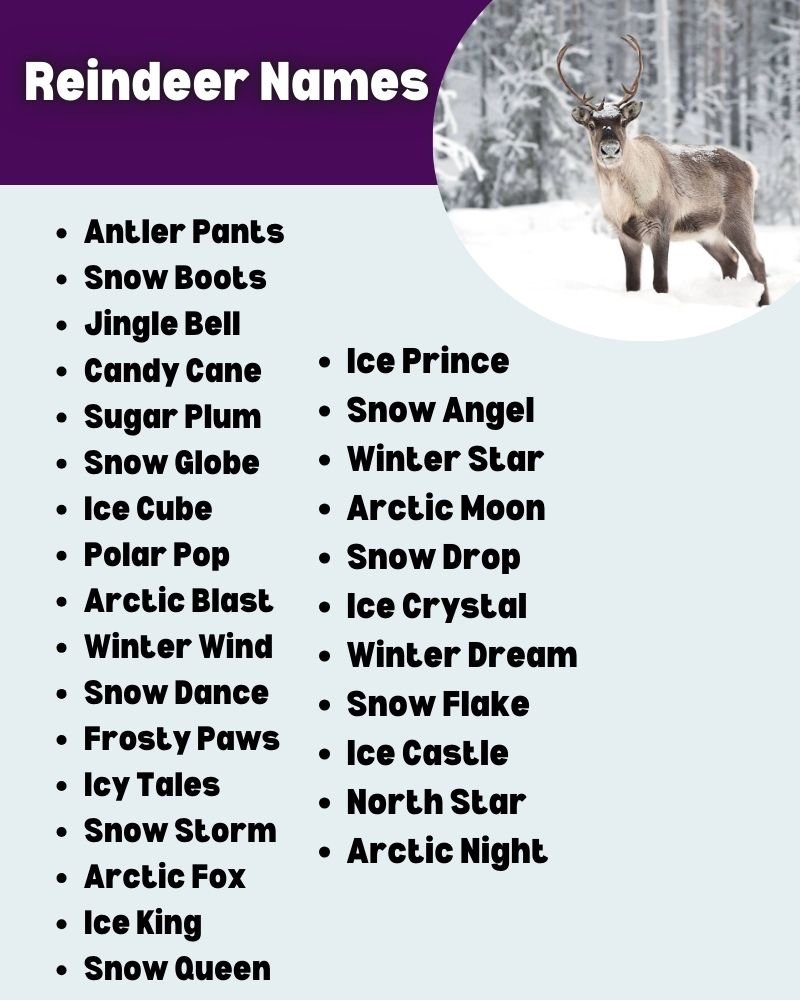 Reindeer Names