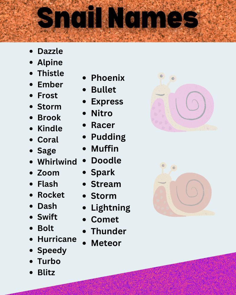 Snail Names