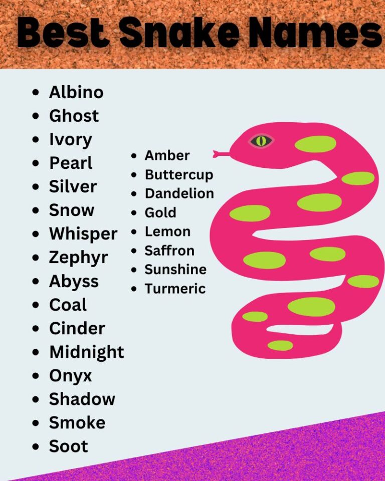 350 Best Snake Names Ideas Try Our AI Generator 2025 350-best-snake-names-ideas-try-our-ai-generator-2025