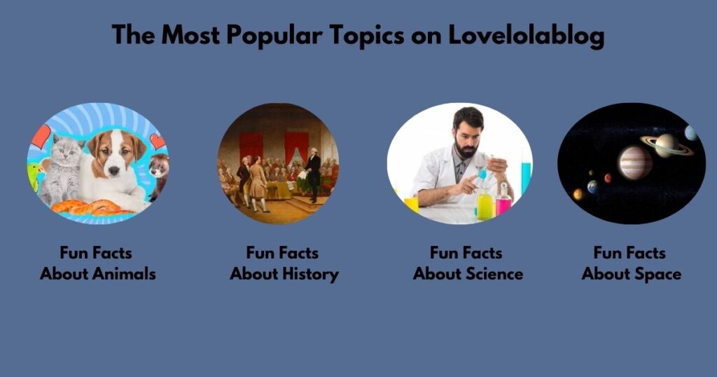 The Most Popular Topics on Lovelolablog